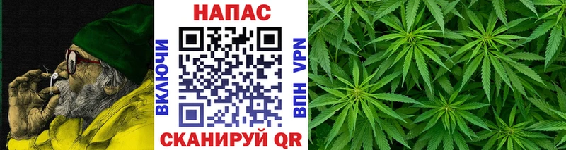 купить   Снежинск  Марихуана конопля 
